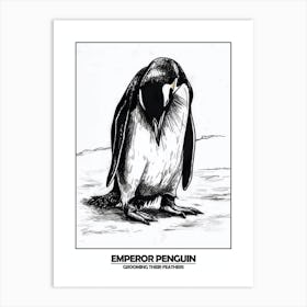 Penguin Grooming Their Feathers Poster 1 Art Print