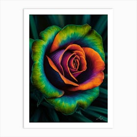 Rainbow Rose 9 Art Print