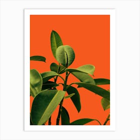 Green Leaves On An Orange Background Art Print