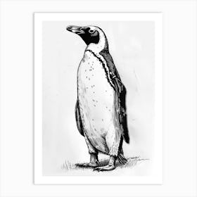 King Penguin Standing Tall And Proud 4 Art Print