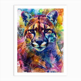 Cougar Colourful Watercolour 4 Art Print