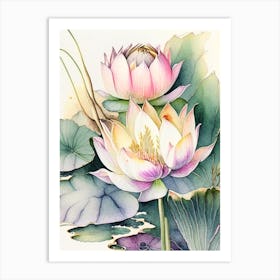 Lotus Flowers In Park Watercolour Ink Pencil 4 Art Print