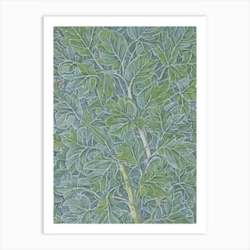 Amur Maple 2 tree Vintage Botanical Art Print