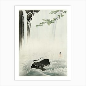 Japanese Wagtail At Waterfall (1900 1930), Ohara Koson Art Print