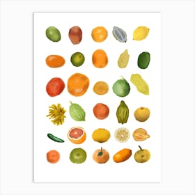 Citrus fruit Art Print