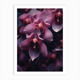 Macro Orchids 1 Art Print