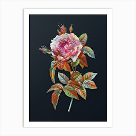 Vintage Pink French Rose Botanical Watercolor Illustration on Dark Teal Blue n.0856 Art Print