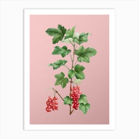 Vintage Redcurrant Plant Botanical on Soft Pink n.0662 Art Print