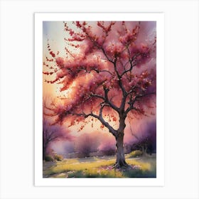 Cherry Blossom Tree 12 Art Print