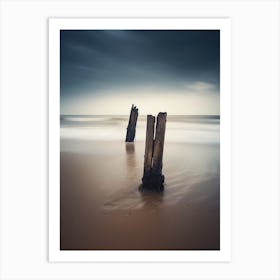 Old Posts On The Beach Art Print