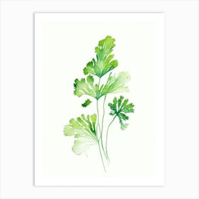 Parsley Herb Minimalist Watercolour Art Print