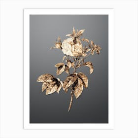 Gold Botanical Pink Agatha Rose on Soft Gray n.2515 Art Print