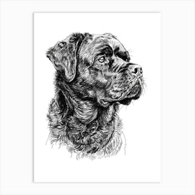 Rottweiler Dog Line Sketch1 Art Print