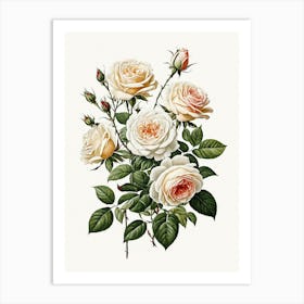 Vintage Galleria Style Rose Art Painting 23 Art Print