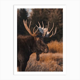 Warm Autumn Moose Art Print