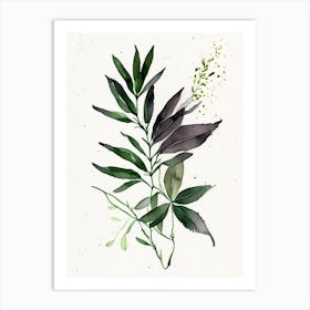 Licorice Herb Minimalist Watercolour Art Print