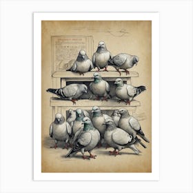 Pigeons On A Shelf Art Print