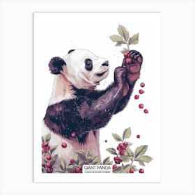 Giant Panda Picking Berries Poster 7 Art Print