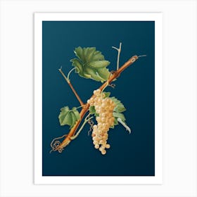 Vintage Vermentino Grapes Botanical Art on Teal Blue 1 Art Print