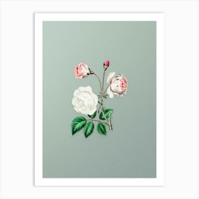 Vintage Ruga Rose Flower Botanical Art on Mint Green n.0198 Art Print