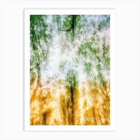 Canopy Of Light 1 Art Print