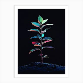 Plant In The Dark 19 Art Print