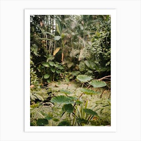Little botanical landscape green jungle | Hortus Botanicus | Amsterdam | The Netherlands Art Print