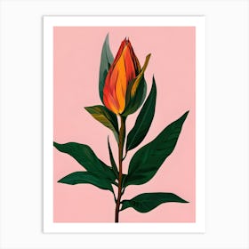 Tulip 3 Art Print