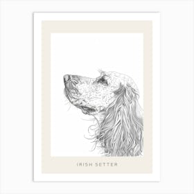 Irish Setter Line Sketch 1 Poster Art Print