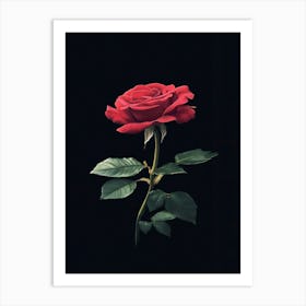 Red Rose 17 Art Print