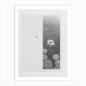 Lotus Flower Photo Collage 1 Art Print