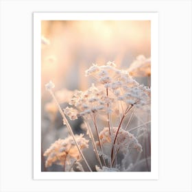 Frosty Botanical Queen Annes Lace 7 Art Print
