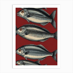 Sardines Art Print