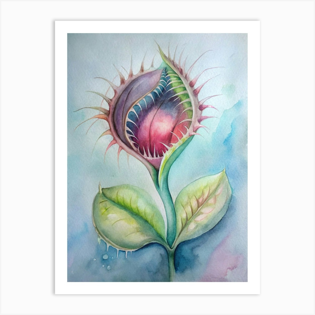 Venus Fly Trap Portrait Art Print Venus Fly Trap Portrait Art Print