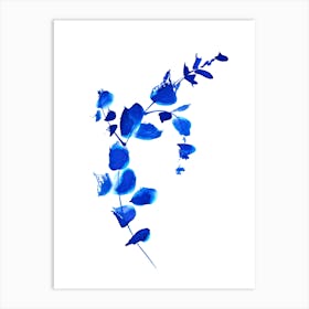 Blue Eucalyptus Branch Botanical Art Art Print