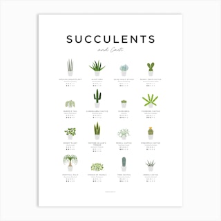 Succulents And Cacti Guide Art Print