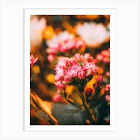 Poster Flower Art Print 17 Art Print