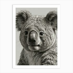 Koala Bear 6 Art Print