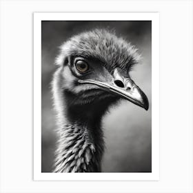 Portrait Of An Ostrich Art Print