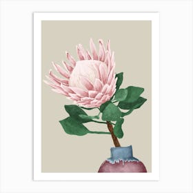 Pink King Protea In A Ceramic Vase Art Print