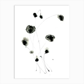 Seed Heads Art Print