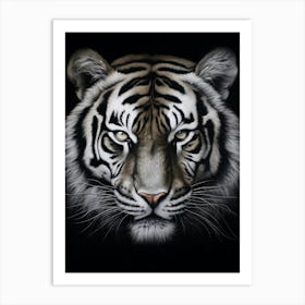 Wild 8 Art Print