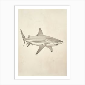 Carpet Shark Vintage Illustration 5 Art Print