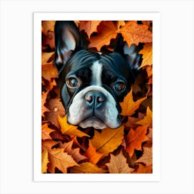 Boston Terrier In Autumn Leaves Art Print