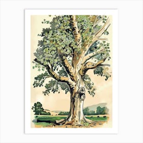 Beech Tree Storybook Illustration 2 Art Print