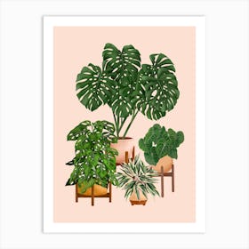 Indoor Plants 5 Art Print