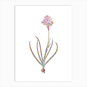 Stained Glass Arabian Starflower Mosaic Botanical Illustration on White n.0204 Art Print