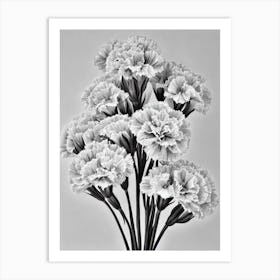 Carnations B&W Pencil 8 Flower Art Print