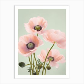Anemone Flowers Acrylic Pastel Colours 2 Art Print