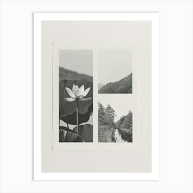 Lotus Flower Photo Collage 4 Art Print